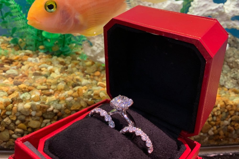 Additional Collections of Wedding Bands Additional Collections of Wedding Bands